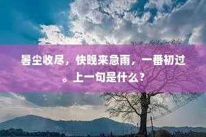 暑尘收尽，快晚来急雨，一番初过。上一句是什么？