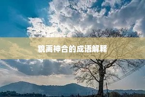 貌离神合的成语解释