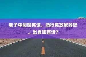 老子中间聊笑傲，酒行莫放觥筹歇。出自哪首诗？