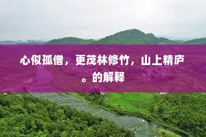 心似孤僧，更茂林修竹，山上精庐。的解释