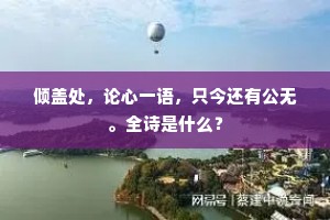 倾盖处，论心一语，只今还有公无。全诗是什么？