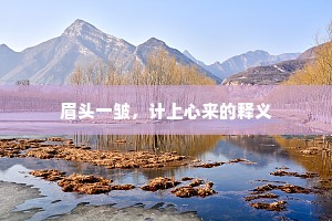 眉头一皱，计上心来的释义