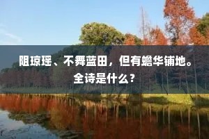 阻琼瑶、不舞蓝田，但有蟾华铺地。全诗是什么？