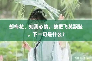 却梅花、知我心情，故把飞英飘坠。下一句是什么？