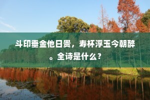 斗印垂金他日贵，寿杯浮玉今朝醉。全诗是什么？