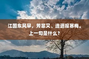 江国东风早，芳菲又、迤逦报寒梅。上一句是什么？