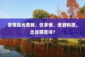 常恨孤光易转，仗多情、使君料理。出自哪首诗？