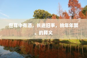 但尊中有酒，长追旧事，拚年年醉。的释义