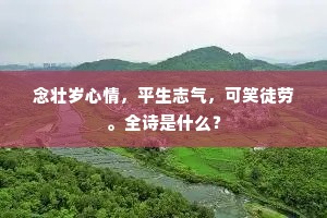 念壮岁心情，平生志气，可笑徒劳。全诗是什么？
