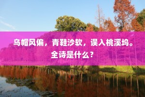 乌帽风偏，青鞋沙软，误入桃溪坞。全诗是什么？