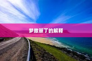 梦撒寮丁的解释