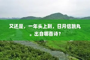 又还是，一年头上到，日月信跳丸。出自哪首诗？