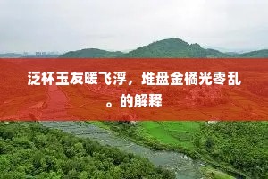泛杯玉友暖飞浮，堆盘金橘光零乱。的解释