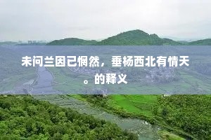 未问兰因已惘然，垂杨西北有情天。的释义