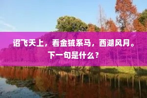 诏飞天上，看金狨系马，西湖风月。下一句是什么？