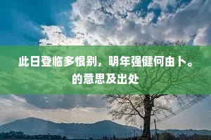 此日登临多恨别，明年强健何由卜。的意思及出处