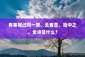 有客相过同一醉，无客至，独中之。全诗是什么？