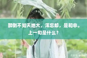 醉倒不知天地大,浑忘却,是和非。上一句是什么? 醉倒不知天地大,浑忘却,是和非。上一句是什么?