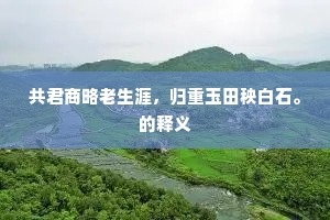 共君商略老生涯,归重玉田秧白石。的释义 共君商略老生涯,归重玉田秧白石。的释义