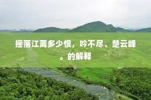 摇落江蓠多少恨，吟不尽、楚云峰。的解释