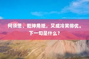 何须恁、乾坤角抵，又成冷笑俳优。下一句是什么？