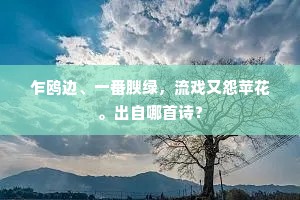 乍鸥边、一番腴绿，流戏又怨苹花。出自哪首诗？