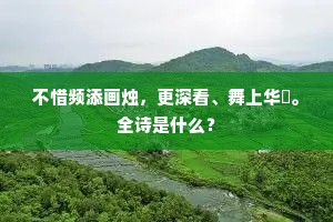 不惜频添画烛,更深看、舞上华裀。全诗是什么? 不惜频添画烛,更深看、舞上华裀。全诗是什么?