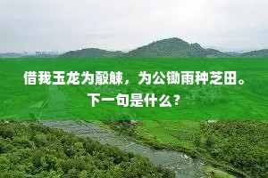 借我玉龙为觳觫,为公锄雨种芝田。下一句是什么? 借我玉龙为觳觫,为公锄雨种芝田。下一句是什么?