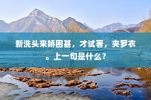 新洗头来娇困甚，才试著，夹罗衣。上一句是什么？
