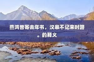 燕鸿曾寄去年书，汉皋不记来时路。的释义