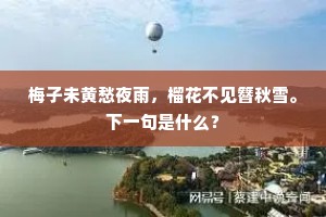 梅子未黄愁夜雨，榴花不见簪秋雪。下一句是什么？
