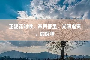 正泥花时候，奈何客里，光阴虚费。的解释