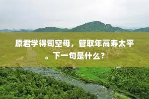 原君学得司空母，管取年高寿太平。下一句是什么？