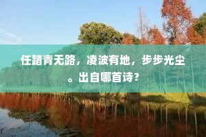 任踏青无路，凌波有地，步步光尘。出自哪首诗？