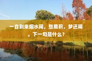 一自别来烟水阔，愁易积，梦还稀。下一句是什么？