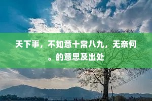 天下事，不如意十常八九，无奈何。的意思及出处