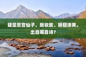 疑是蕊宫仙子，新妆就、娇额涂黄。出自哪首诗？