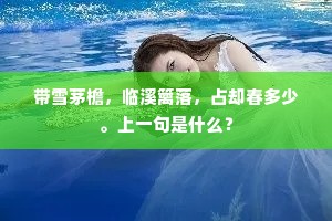 带雪茅檐，临溪篱落，占却春多少。上一句是什么？