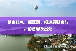 朝来佳气，郁葱葱，报道悬弧良节。的意思及出处