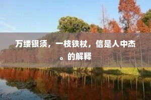 万缕银须，一枝铁杖，信是人中杰。的解释
