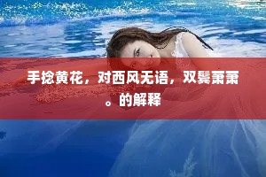 手捻黄花，对西风无语，双鬓萧萧。的解释
