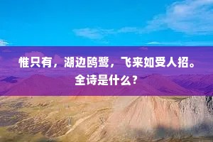 惟只有，湖边鸥鹭，飞来如受人招。全诗是什么？
