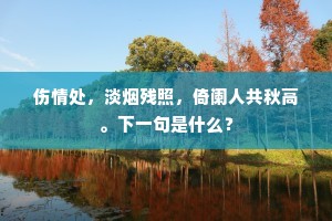 伤情处，淡烟残照，倚阑人共秋高。下一句是什么？