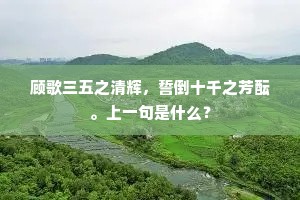 顾歌三五之清辉，誓倒十千之芳酝。上一句是什么？