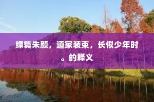 绿鬓朱颜，道家装束，长似少年时。的释义