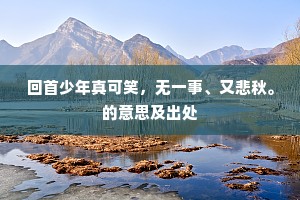 回首少年真可笑，无一事、又悲秋。的意思及出处