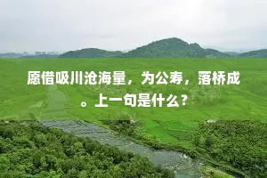 愿借吸川沧海量，为公寿，落桥成。上一句是什么？