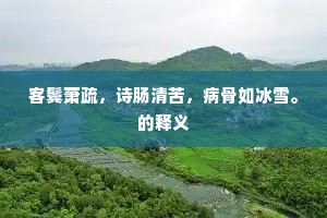 客鬓萧疏，诗肠清苦，病骨如冰雪。的释义