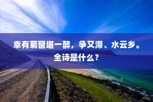 幸有菊窗堪一醉，争又滞、水云乡。全诗是什么？