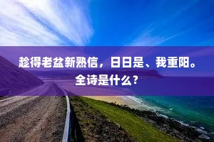 趁得老盆新熟信，日日是、我重阳。全诗是什么？